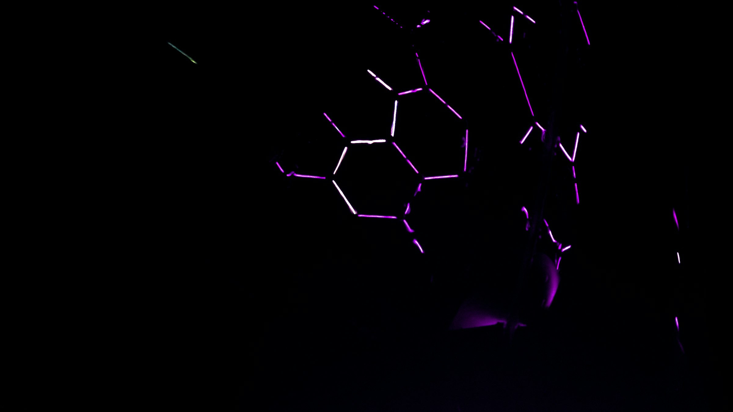 Abstract purple network of connected nodes on a dark background, symbolizing custody and connections between accounts