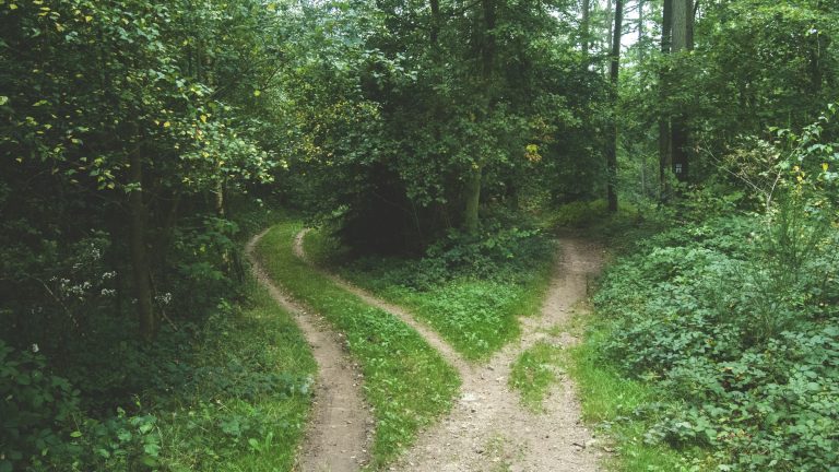 Two paths compared, a visual for the kucoin vs bybit decision for automated futures trading