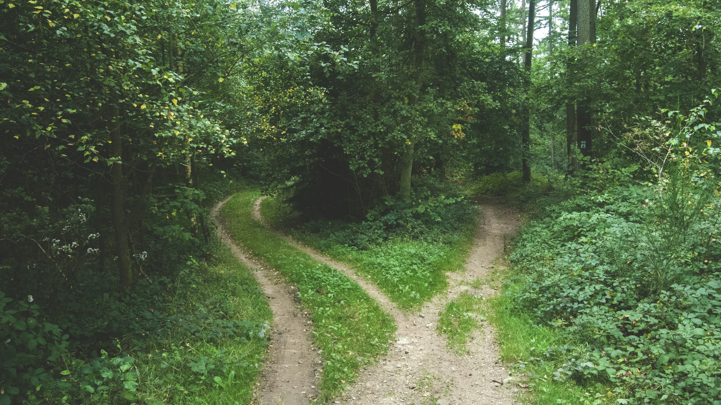 Two paths compared, a visual for the kucoin vs bybit decision for automated futures trading